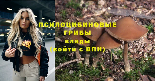 а пвп мука Абаза