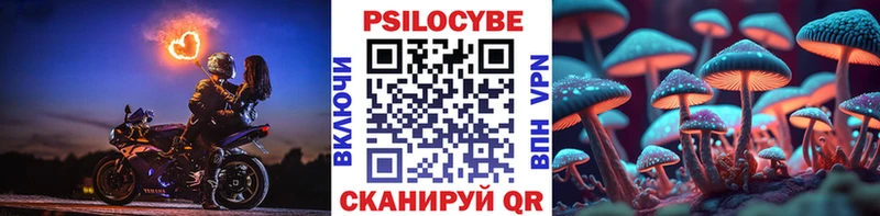 Галлюциногенные грибы MAGIC MUSHROOMS купить наркотики сайты Лысково